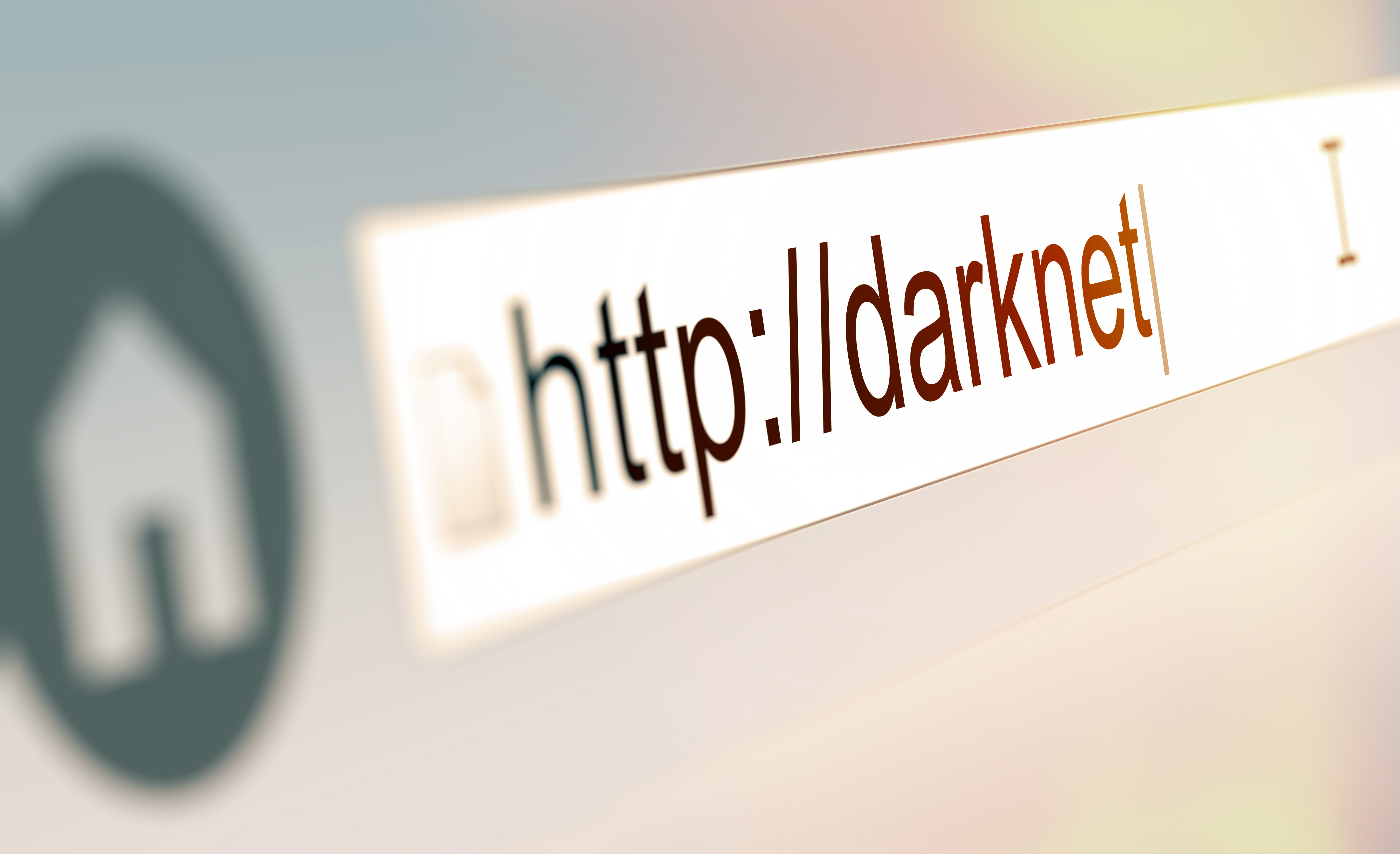 Darknet site