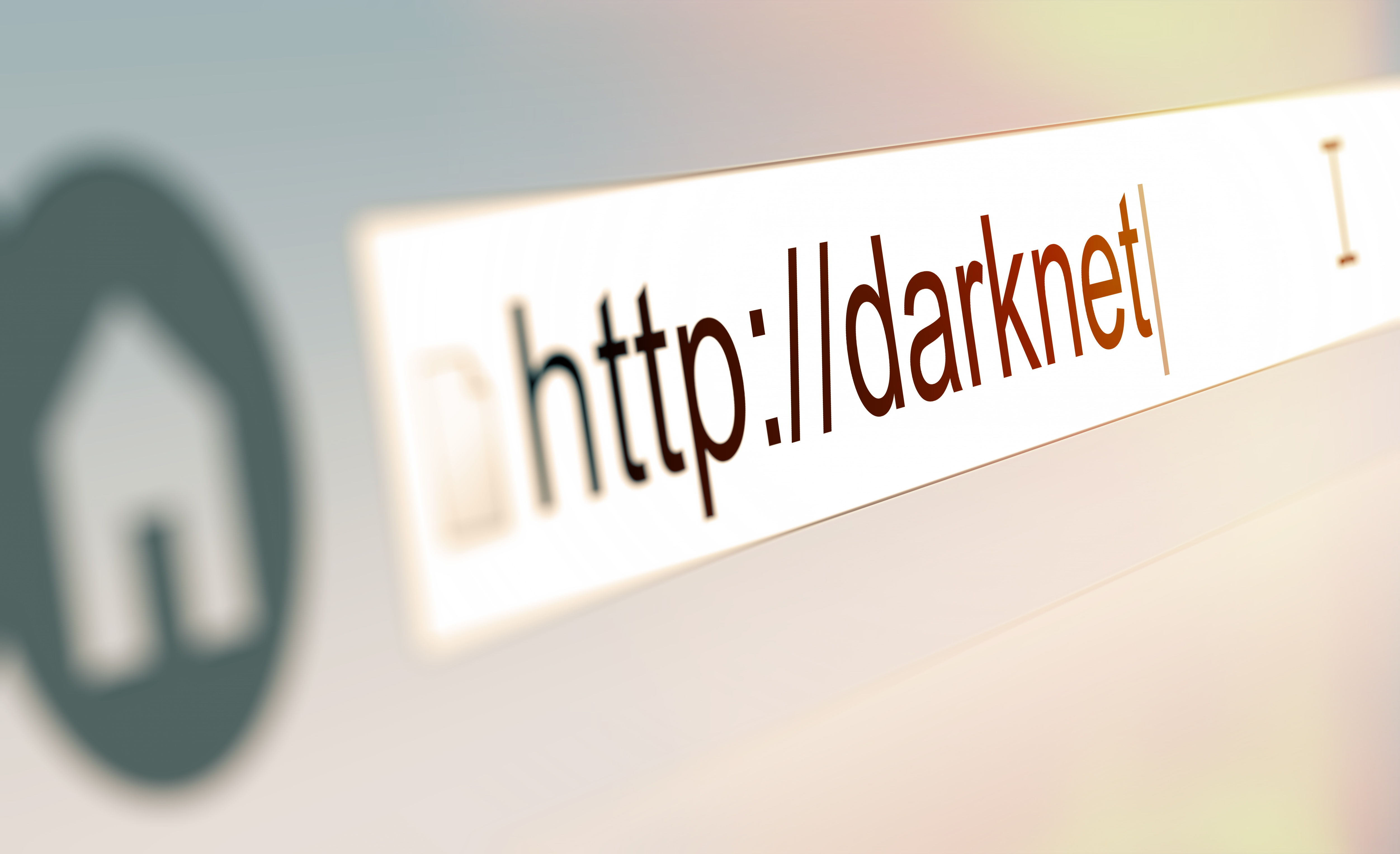 Darknet Websites