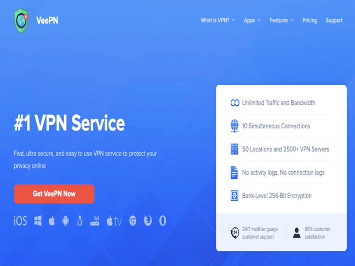 Top 10 Best VPN Service Providers of 2024